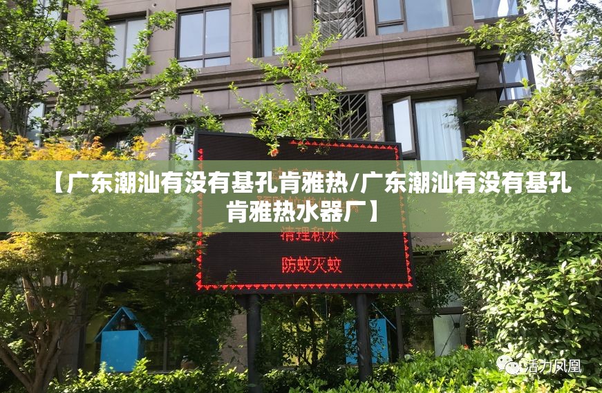 【广东潮汕有没有基孔肯雅热/广东潮汕有没有基孔肯雅热水器厂】