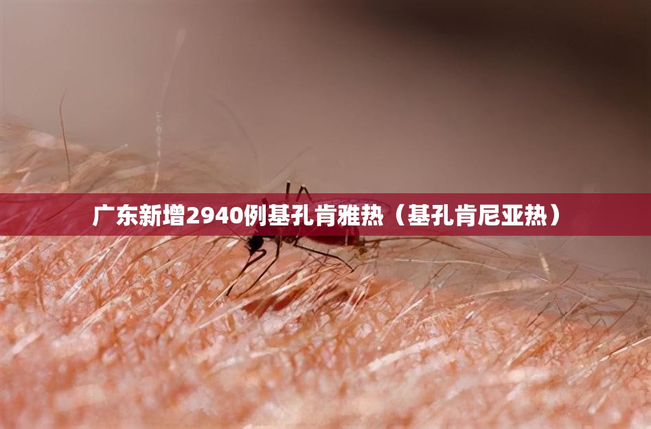 广东新增2940例基孔肯雅热（基孔肯尼亚热）