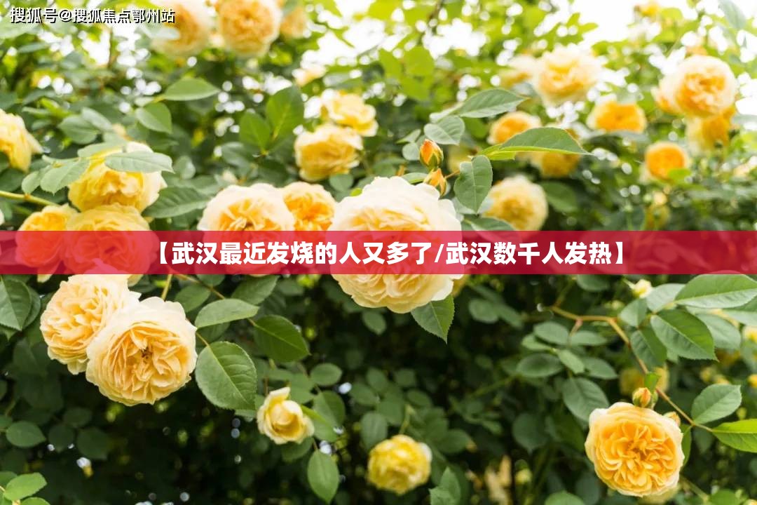 【武汉最近发烧的人又多了/武汉数千人发热】