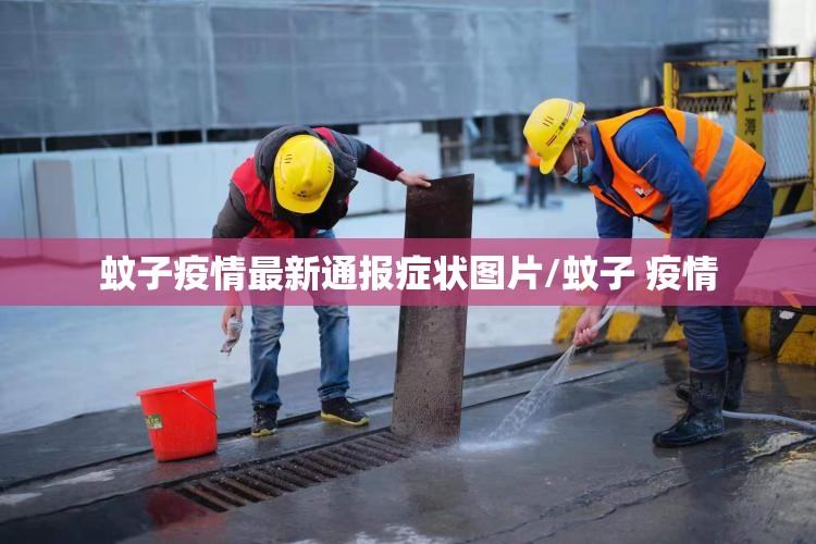 蚊子疫情最新通报症状图片/蚊子 疫情