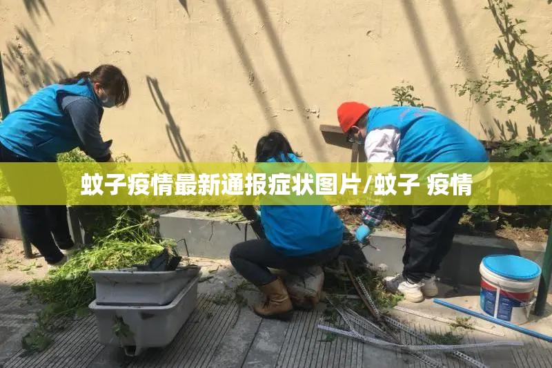 蚊子疫情最新通报症状图片/蚊子 疫情