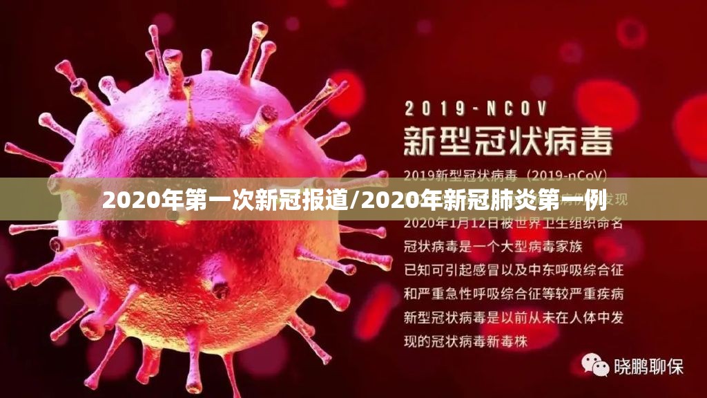 2020年第一次新冠报道/2020年新冠肺炎第一例