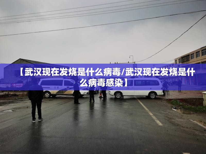 【武汉现在发烧是什么病毒/武汉现在发烧是什么病毒感染】