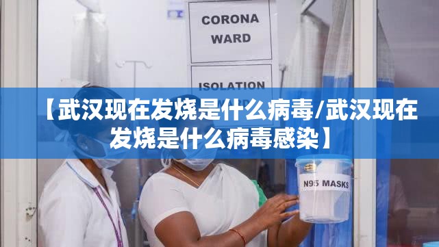 【武汉现在发烧是什么病毒/武汉现在发烧是什么病毒感染】
