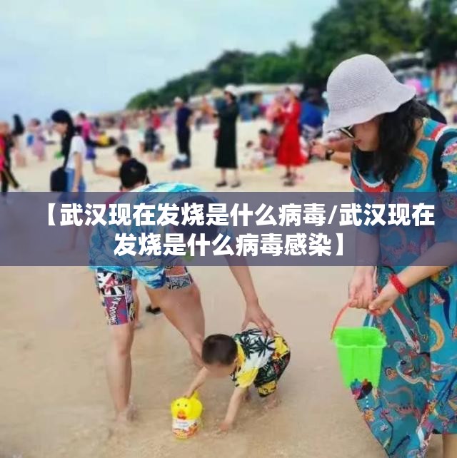 【武汉现在发烧是什么病毒/武汉现在发烧是什么病毒感染】
