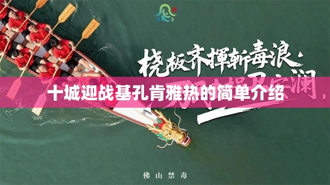 十城迎战基孔肯雅热的简单介绍
