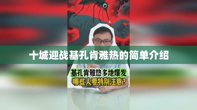 十城迎战基孔肯雅热的简单介绍