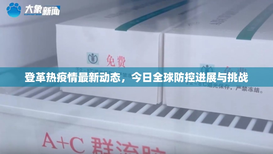 登革热疫情最新动态，今日全球防控进展与挑战