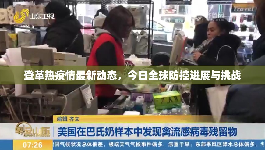 登革热疫情最新动态，今日全球防控进展与挑战