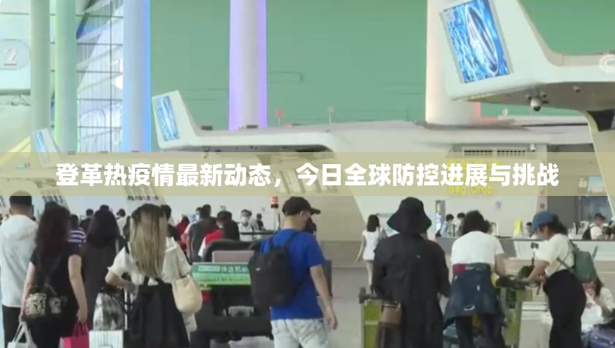 登革热疫情最新动态，今日全球防控进展与挑战