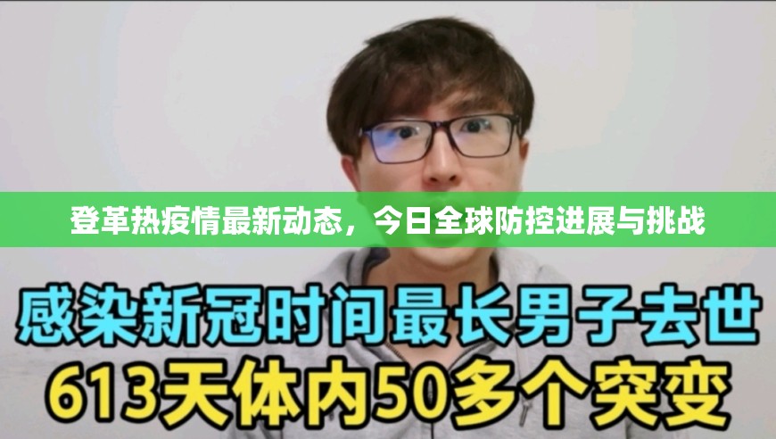 登革热疫情最新动态，今日全球防控进展与挑战