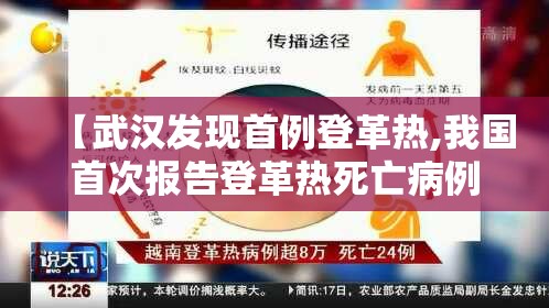 【武汉发现首例登革热,我国首次报告登革热死亡病例】