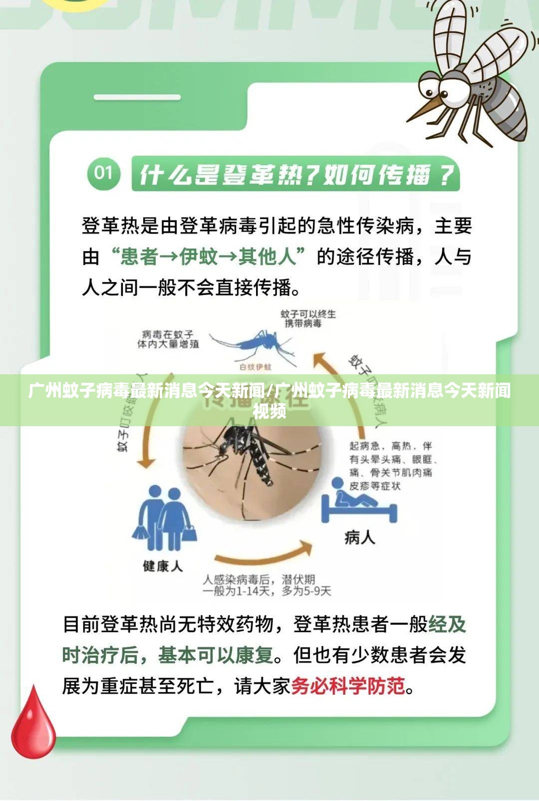 广州蚊子病毒最新消息今天新闻/广州蚊子病毒最新消息今天新闻视频