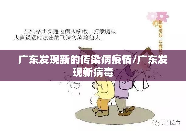 广东发现新的传染病疫情/广东发现新病毒