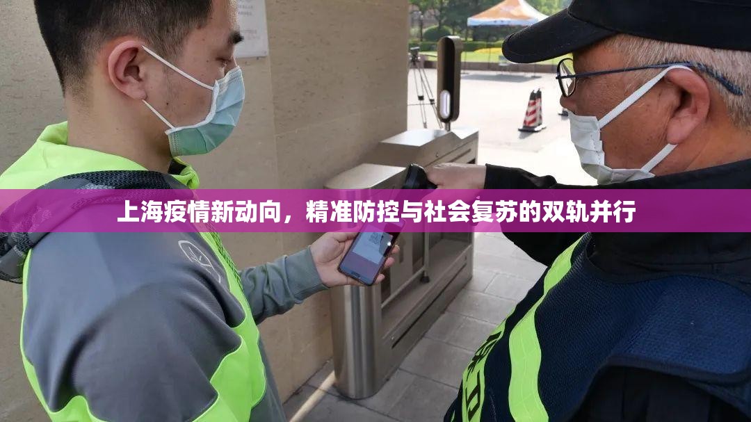 上海疫情新动向，精准防控与社会复苏的双轨并行