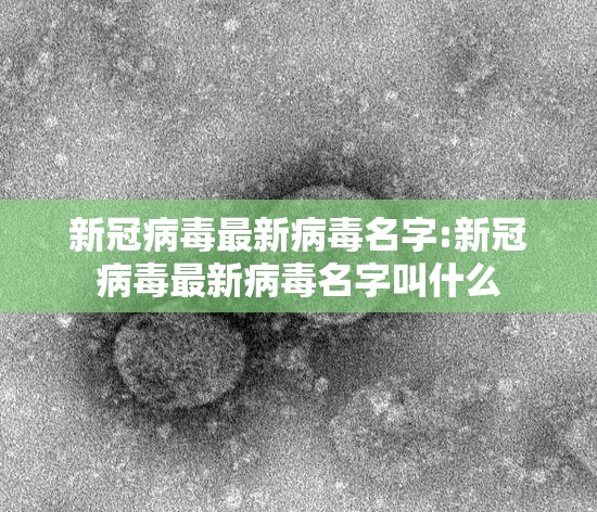 新冠病毒最新病毒名字:新冠病毒最新病毒名字叫什么
