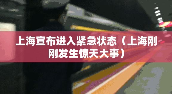上海宣布进入紧急状态（上海刚刚发生惊天大事）