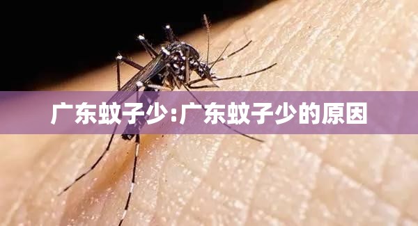 广东蚊子少:广东蚊子少的原因