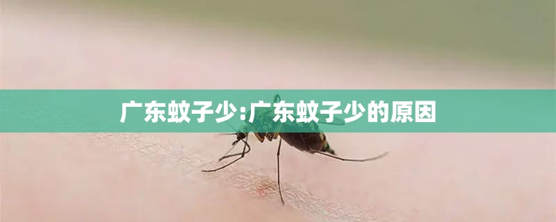 广东蚊子少:广东蚊子少的原因