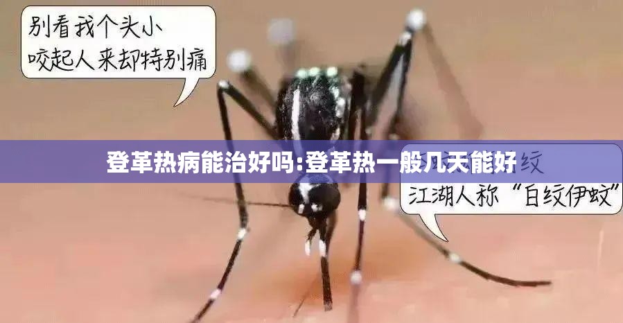 登革热病能治好吗:登革热一般几天能好
