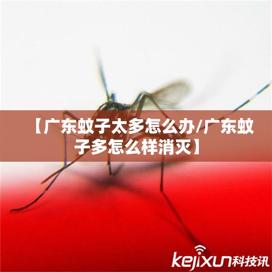 【广东蚊子太多怎么办/广东蚊子多怎么样消灭】