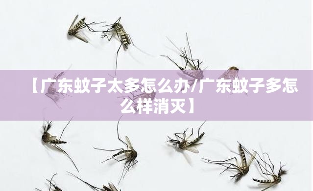 【广东蚊子太多怎么办/广东蚊子多怎么样消灭】