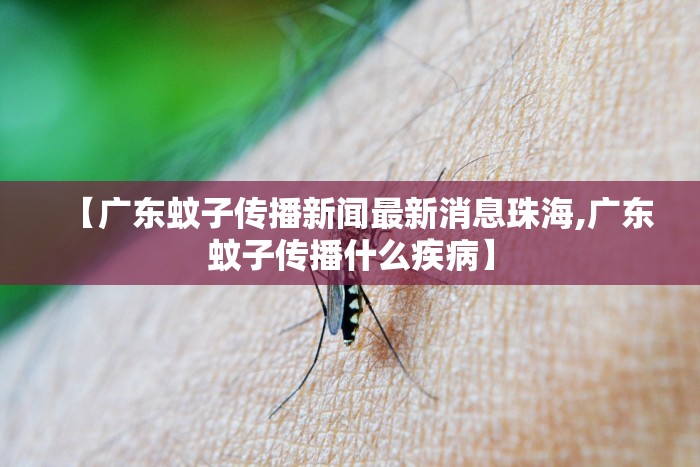 【广东蚊子传播新闻最新消息珠海,广东蚊子传播什么疾病】