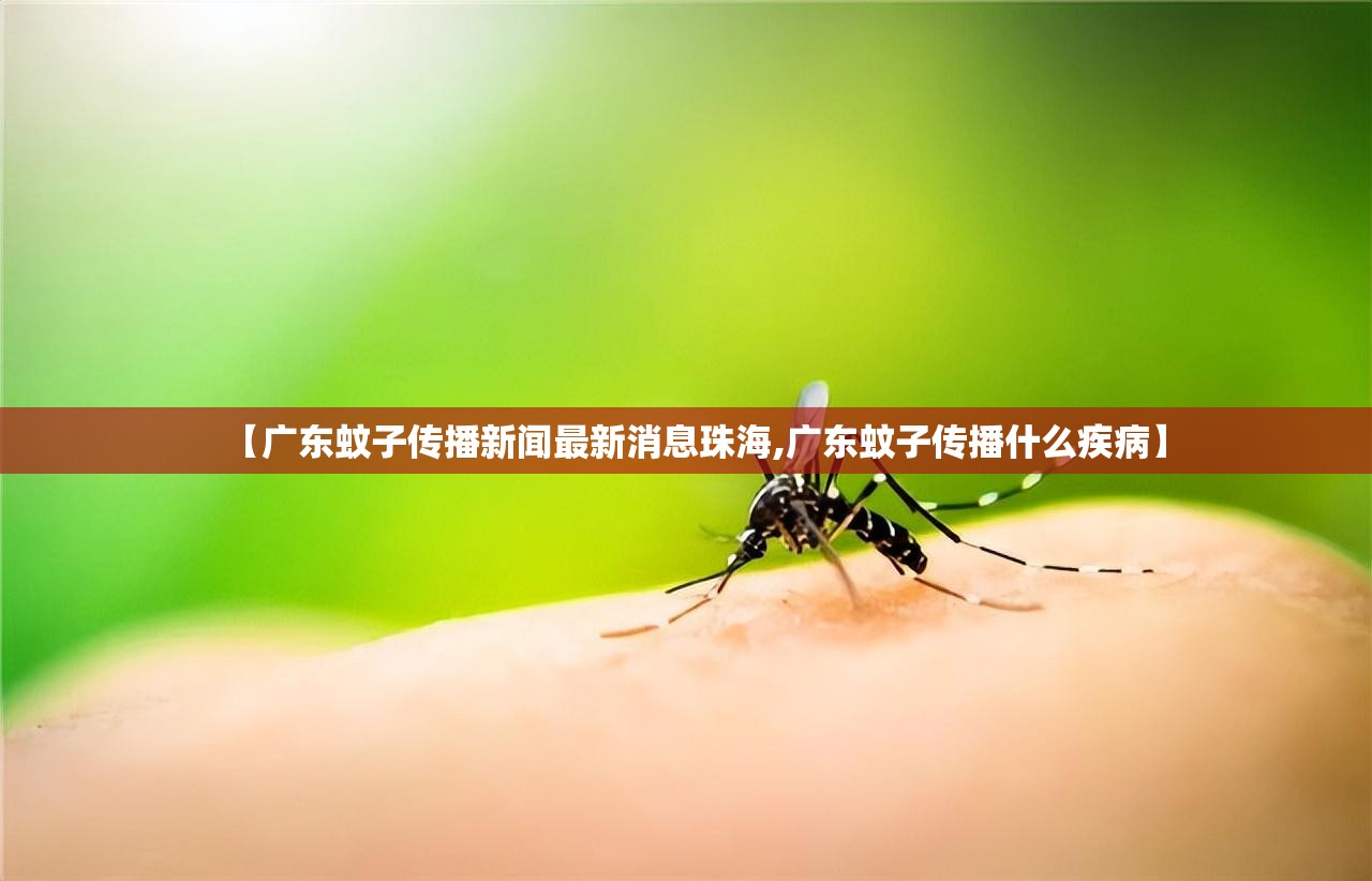 【广东蚊子传播新闻最新消息珠海,广东蚊子传播什么疾病】