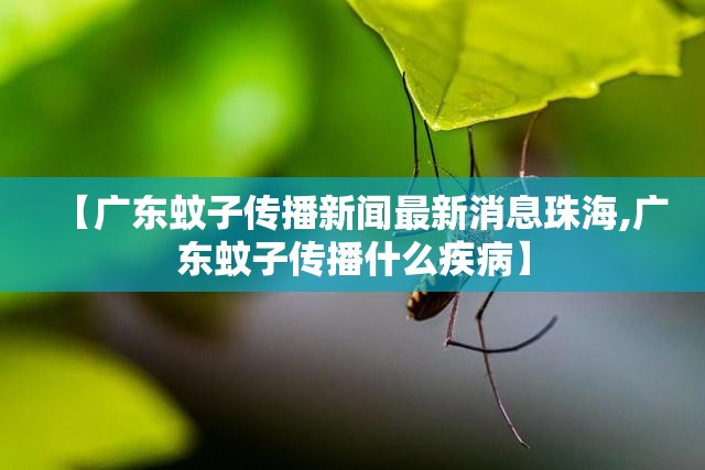 【广东蚊子传播新闻最新消息珠海,广东蚊子传播什么疾病】