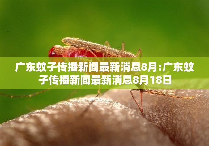 广东蚊子传播新闻最新消息8月:广东蚊子传播新闻最新消息8月18日