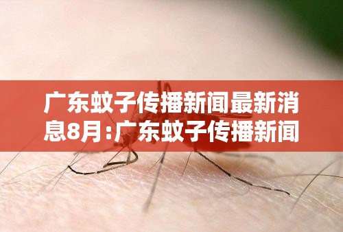 广东蚊子传播新闻最新消息8月:广东蚊子传播新闻最新消息8月18日
