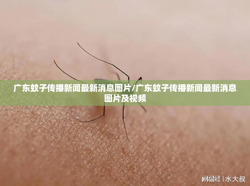 广东蚊子传播新闻最新消息图片/广东蚊子传播新闻最新消息图片及视频