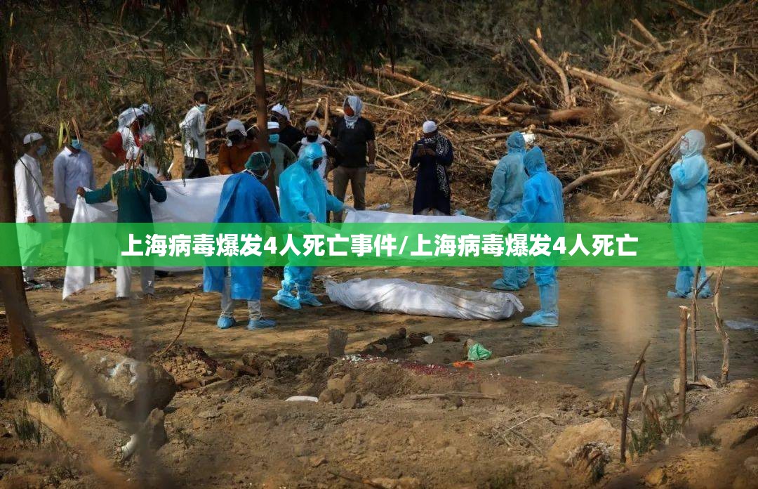上海病毒爆发4人死亡事件/上海病毒爆发4人死亡
