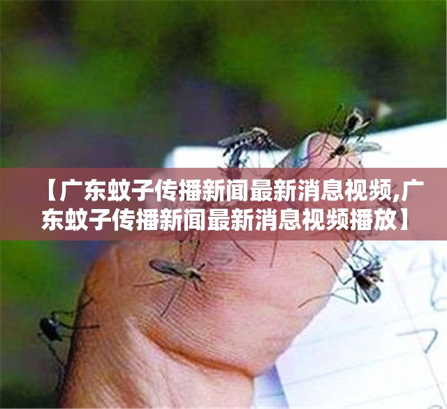 【广东蚊子传播新闻最新消息视频,广东蚊子传播新闻最新消息视频播放】