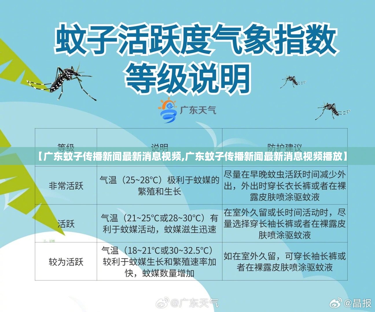 【广东蚊子传播新闻最新消息视频,广东蚊子传播新闻最新消息视频播放】