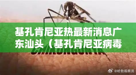 基孔肯尼亚热最新消息广东汕头（基孔肯尼亚病毒的临床表现）