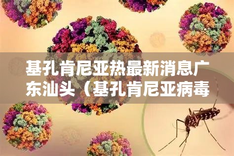 基孔肯尼亚热最新消息广东汕头（基孔肯尼亚病毒的临床表现）