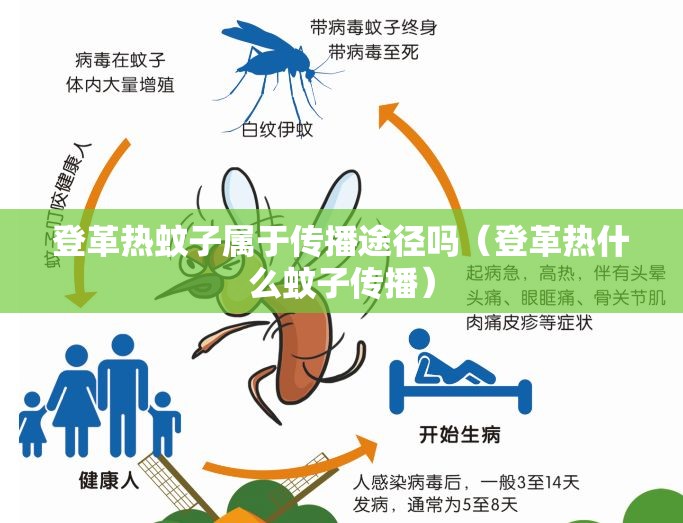 登革热蚊子属于传播途径吗（登革热什么蚊子传播）