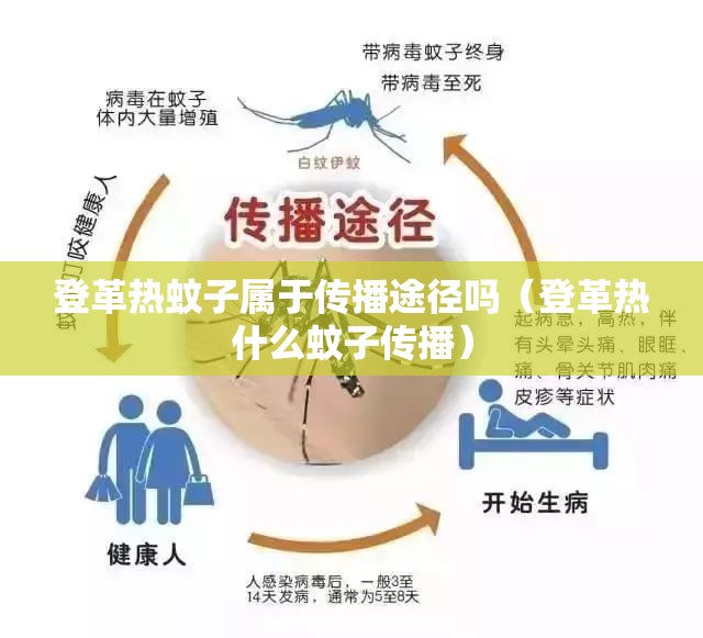 登革热蚊子属于传播途径吗（登革热什么蚊子传播）