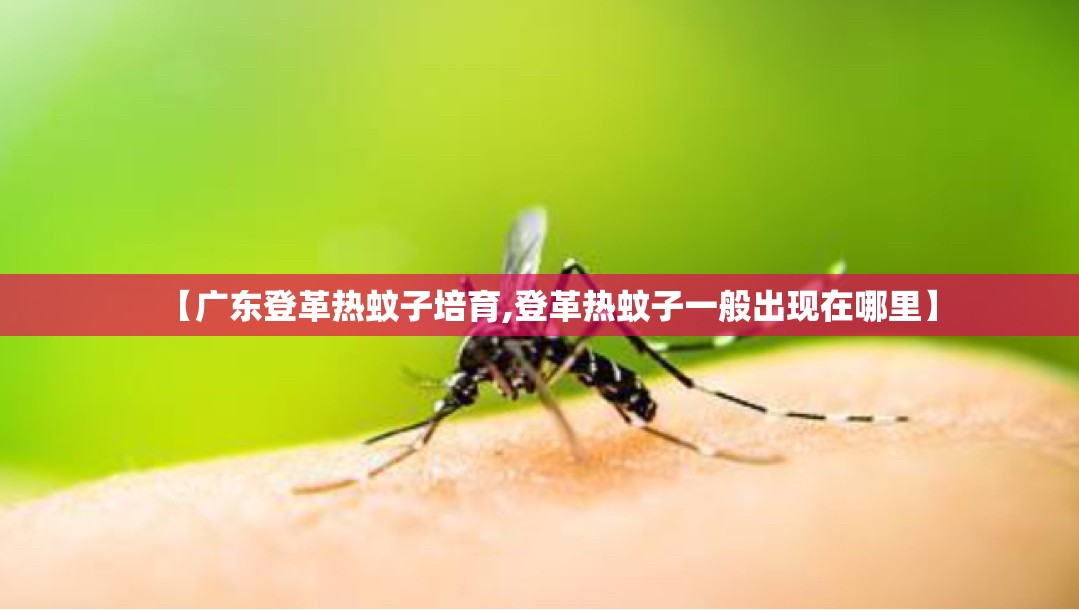 【广东登革热蚊子培育,登革热蚊子一般出现在哪里】