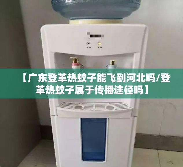 【广东登革热蚊子能飞到河北吗/登革热蚊子属于传播途径吗】