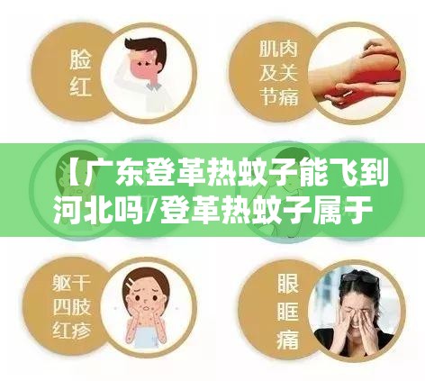 【广东登革热蚊子能飞到河北吗/登革热蚊子属于传播途径吗】