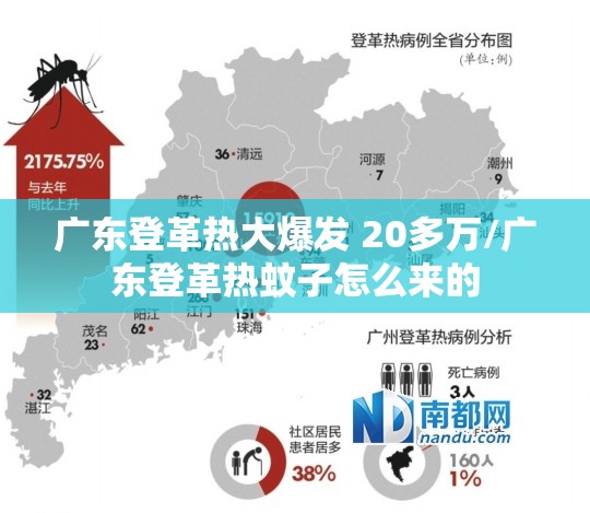 广东登革热大爆发 20多万/广东登革热蚊子怎么来的