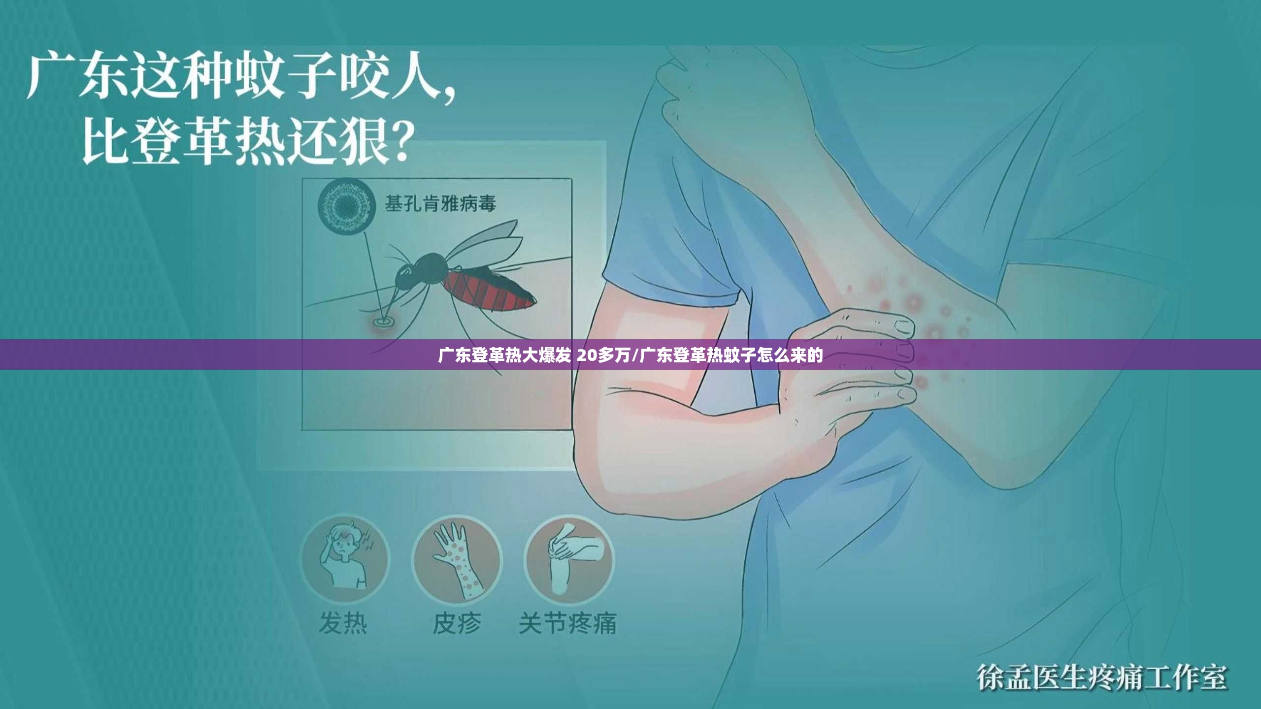 广东登革热大爆发 20多万/广东登革热蚊子怎么来的