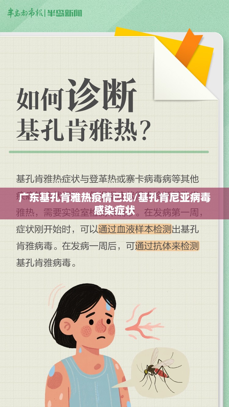广东基孔肯雅热疫情已现/基孔肯尼亚病毒感染症状