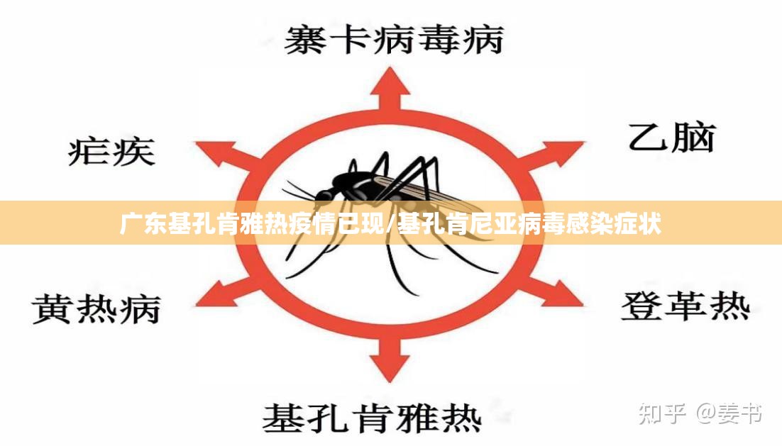 广东基孔肯雅热疫情已现/基孔肯尼亚病毒感染症状