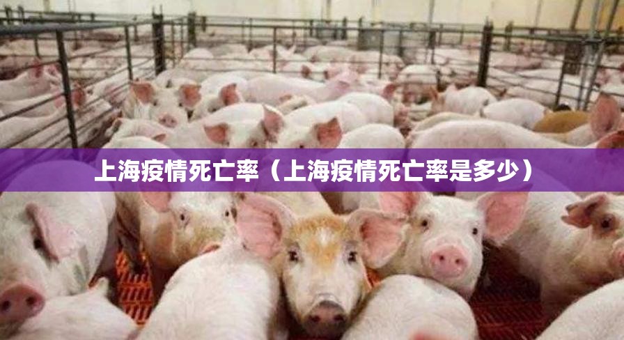 上海疫情死亡率（上海疫情死亡率是多少）