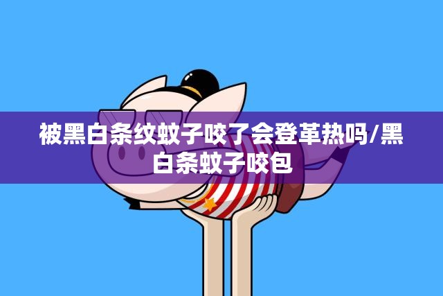 被黑白条纹蚊子咬了会登革热吗/黑白条蚊子咬包