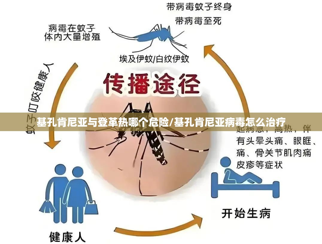 基孔肯尼亚与登革热哪个危险/基孔肯尼亚病毒怎么治疗