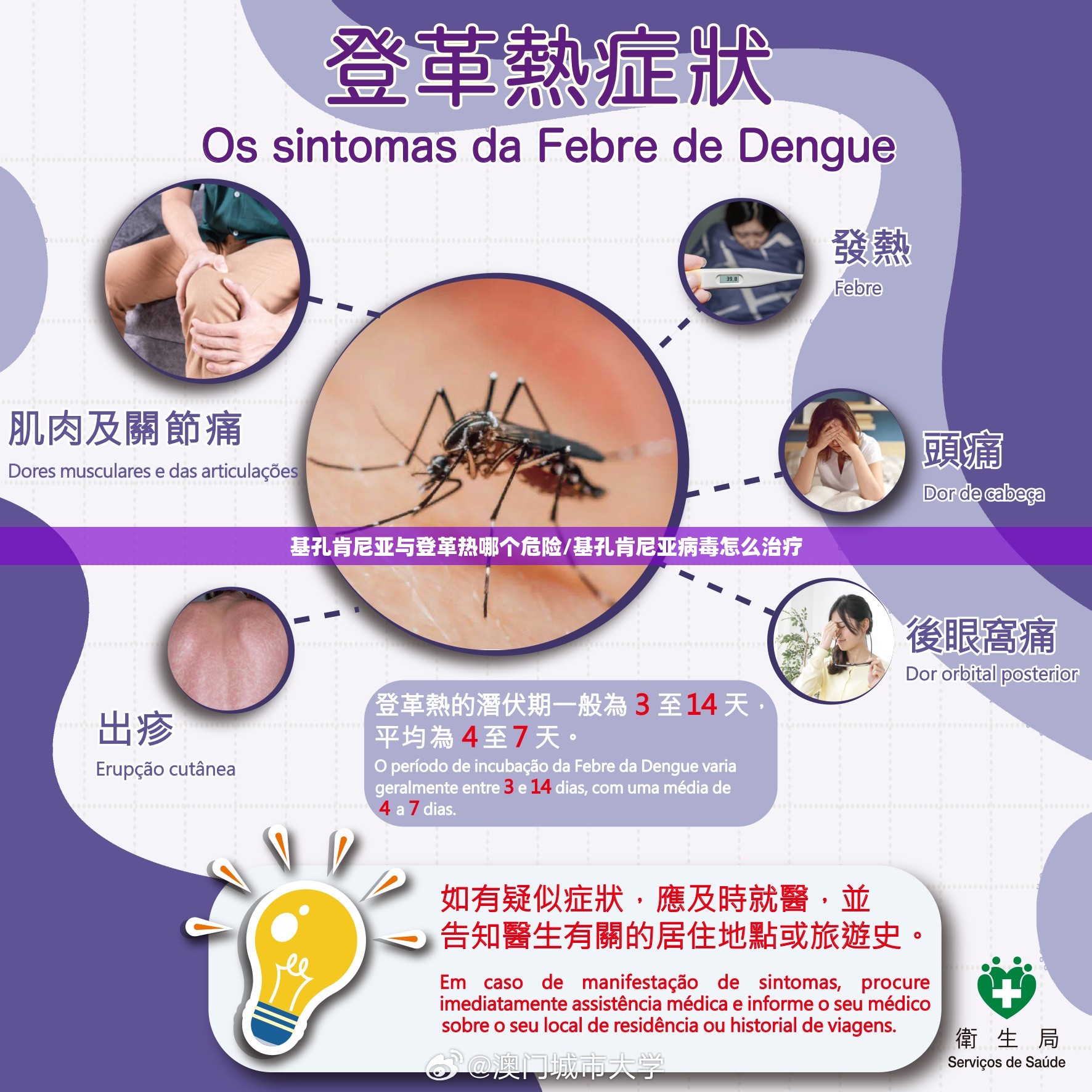 基孔肯尼亚与登革热哪个危险/基孔肯尼亚病毒怎么治疗